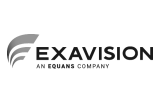 Exavision